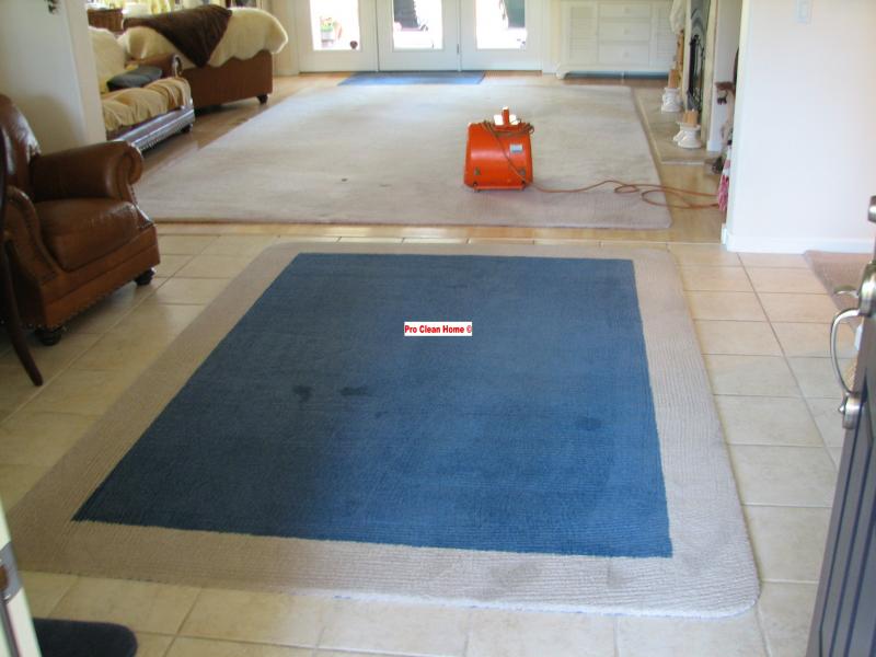 Pro Clean Hme Area Rug Cleaning